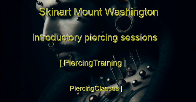 Skinart Mount Washington introductory piercing sessions | PiercingTraining | PiercingClasses | SkinartTraining-United States